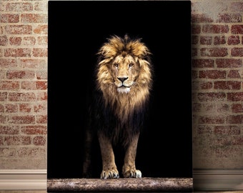 Lion Canvas Etsy