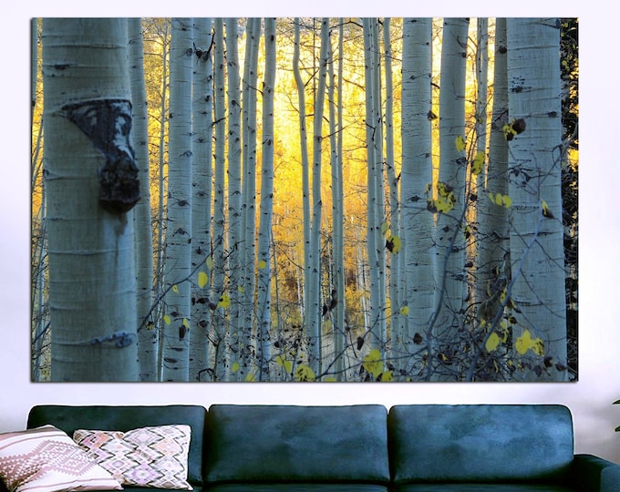 Birch Tree Wall Art, Birch Tree Art, Canvas Print, Painting on Canvas