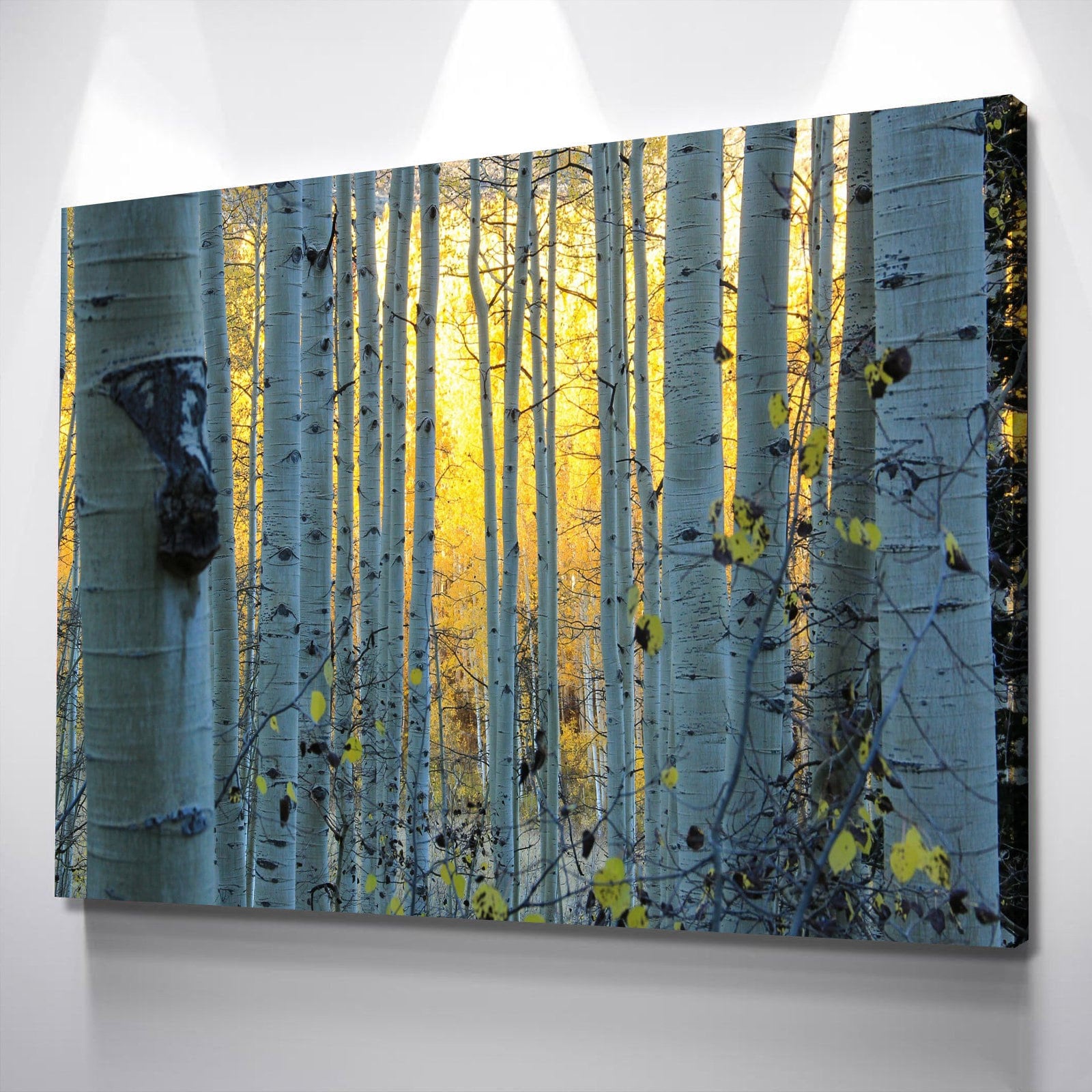 Birch Tree Wall Art Birch Tree Art Canvas Print Painting On | Etsy