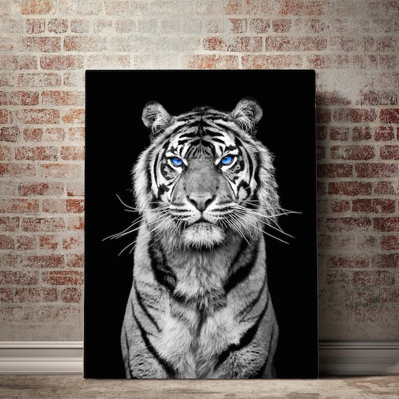 BLUE EYES ASIAN WHITE TIGER ANIMAL CANVAS WALL ART PRINT PICTURE READY TO HANG