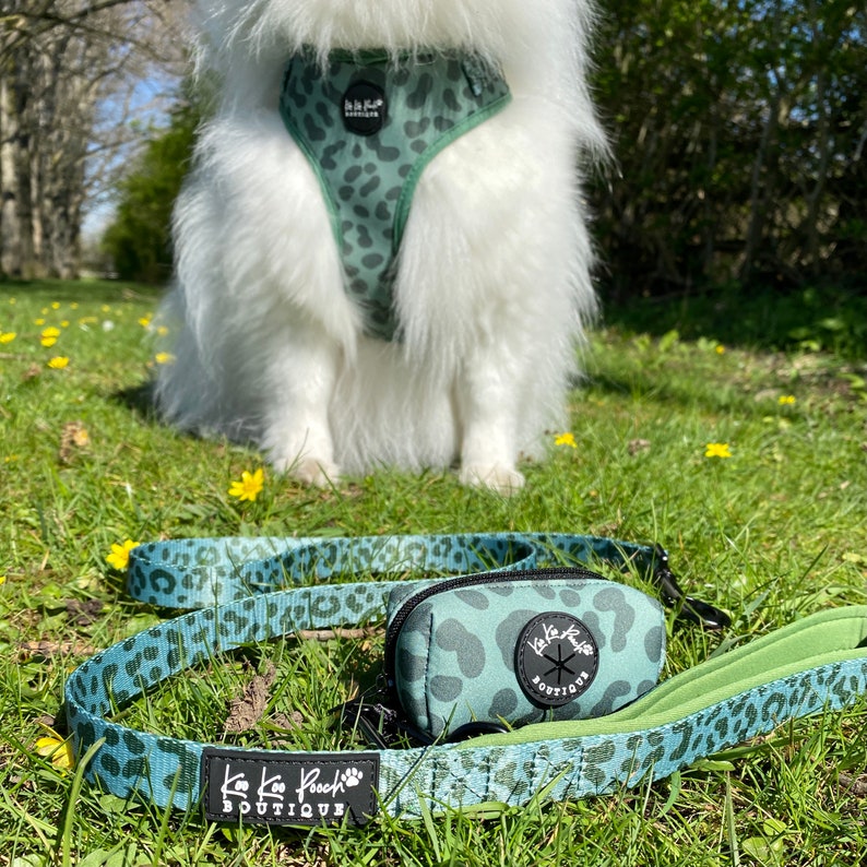walkright control dog harness
