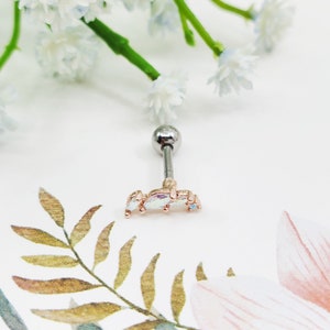 May include: A silver and rose gold cartilage earring with a cluster of iridescent stones in a curved shape.