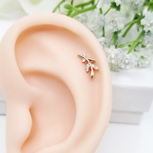 Lövgren CZ Titan Broskörtäng Naturinspirerad Helix 16G, 20G, 21G Piercing bild 3