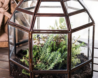 Grand terrarium en verre de style cage à oiseaux en bronze | Jardinière | Affichage | Décoration | Accueil | Bureau | 10 x 9 po.