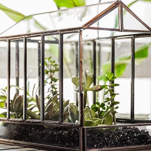 Urban Born Large Terrarium Greenhouse, Glass and Metal Indoor Display Case, Unique Gift Idea, Succulent Container, Orchid Planter. (Bronze)