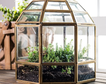 Large Glass Terrarium Birdcage Style, Indoor Display Case, Succulent Container, Orchid Planter, Home Decor, in Brass