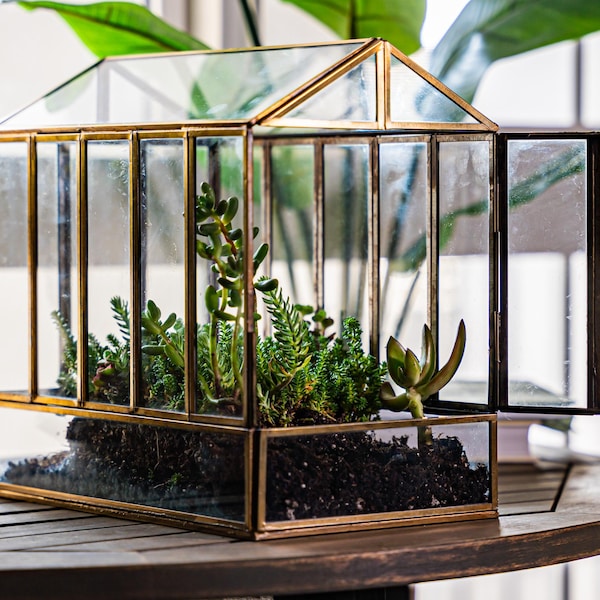 Large Brass Greenhouse Terrarium, Glass Indoor Display Case
