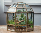 Urban Born Handmade Birdcage Large Glass Terrarium 10 quot x 9 quot x 9 quot (Brass)