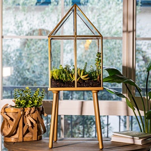 Urban Born Oversize Terrarium with Stand , Glass Metal Indoor Display Case, Unique Gift Idea, Succulent Container, Orchid Planter. (Brass)