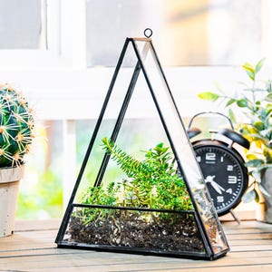 May include: A triangular glass terrarium with a black metal frame, filled with soil and greenery. A round cactus in a pot, a vintage alarm clock, and a decorative amber glass bottle with a sprayer are also on display.