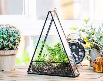 Triangle de terrarium en verre Urban Born, vitrine d'intérieur, idée cadeau unique, récipient pour succulentes, jardinière d'orchidées.