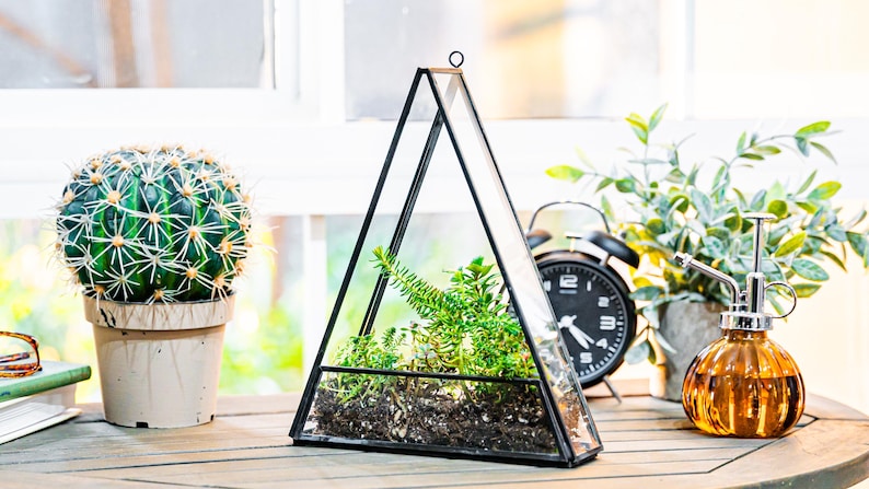 May include: A triangular glass terrarium with a black metal frame, filled with soil and greenery. A round cactus in a pot, a vintage alarm clock, and a decorative amber glass bottle with a sprayer are also on display.