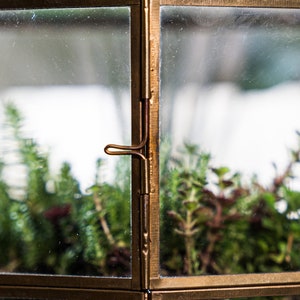 Peut inclure: Un terrarium en verre avec un cadre en laiton et une porte &agrave; charni&egrave;res. Le terrarium est rempli de diverses plantes vertes.