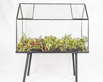 UB Oversize Terrarium Black Greenhouse, Glass, Steel, Stand, Perfect for: Indoor Garden, Display Case, Anniversary, Birthday, Wedding Gifts