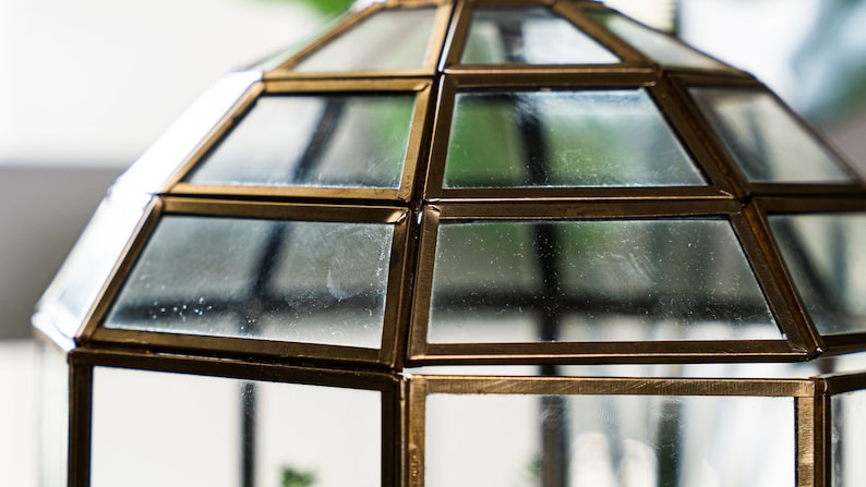 Peut inclure: Un terrarium en m&eacute;tal dor&eacute; et en verre avec un d&ocirc;me. Le terrarium est compos&eacute; de panneaux de verre transparents avec un cadre en m&eacute;tal dor&eacute;.