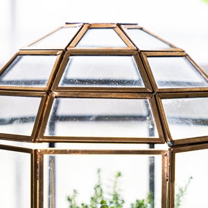 Peut inclure: Un terrarium en verre ton or avec un dessus en forme de d&ocirc;me g&eacute;om&eacute;trique. Le terrarium est vide, mais il y a une petite quantit&eacute; de terre au fond.