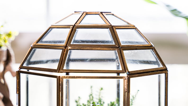 Peut inclure: Un terrarium en verre ton or avec un dessus en forme de d&ocirc;me g&eacute;om&eacute;trique. Le terrarium est vide, mais il y a une petite quantit&eacute; de terre au fond.