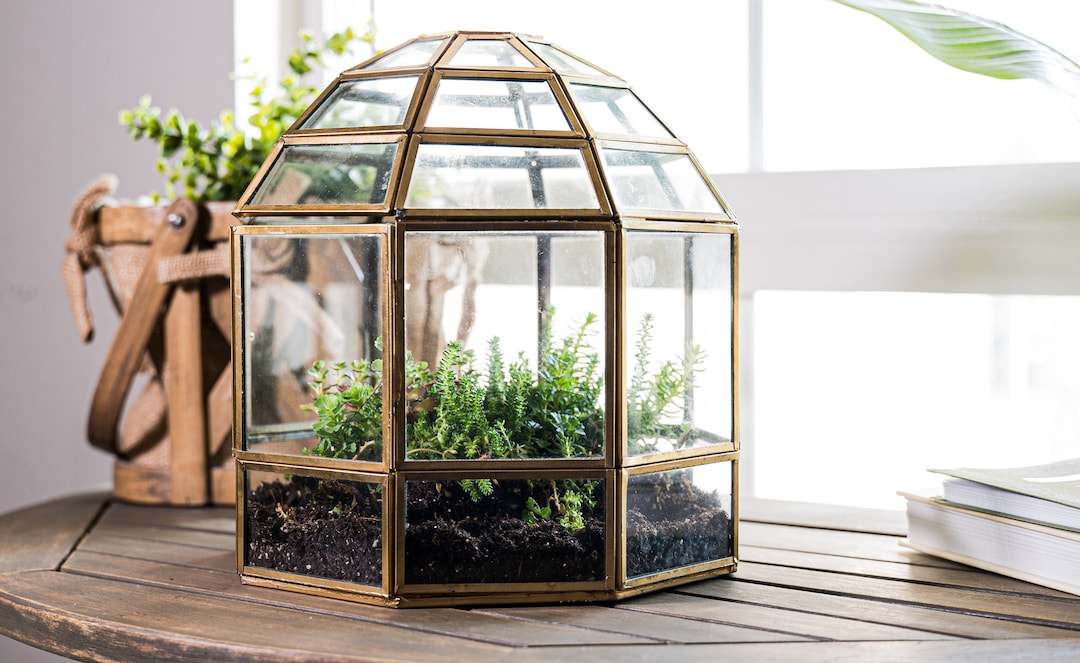 Urban Born Large Terrarium Birdcage, Glass and Metal Indoor Display