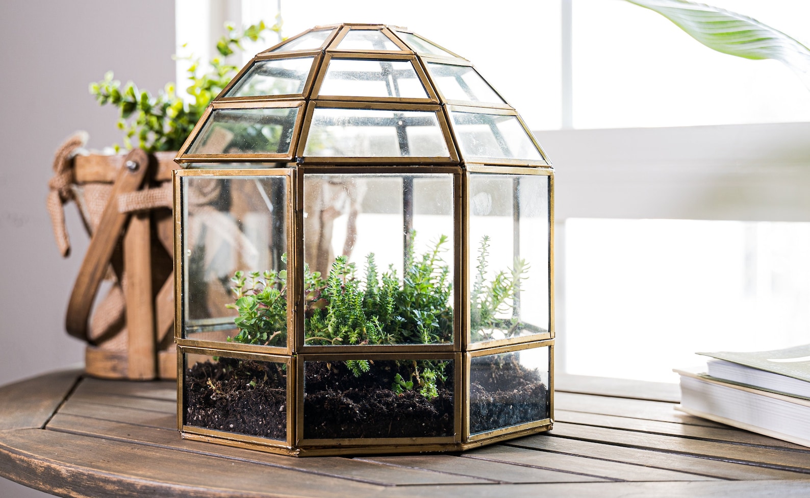 Urban Born Large Glass Terrarium Birdcage, Indoor Display Case, Unique Gift Idea, Succulent Container, Orchid Planter, Home Decor