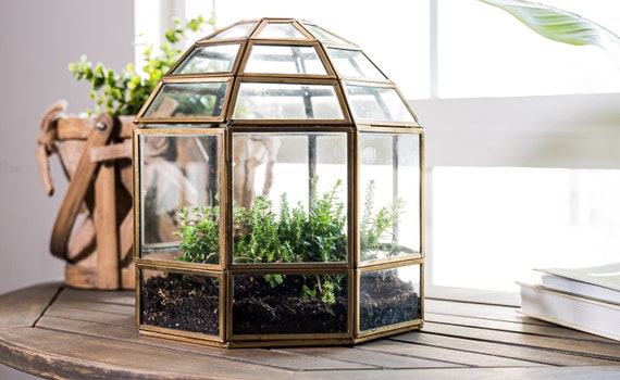 Urban Born Large Glass Terrarium Birdcage, Indoor Display Case, Unique Gift Idea, Succulent Container, Orchid Planter, Home Decor