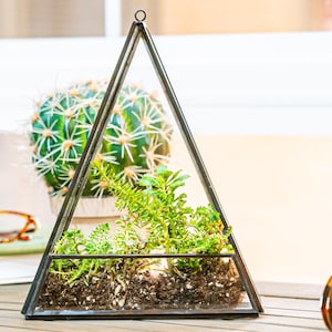 May include: A geometric terrarium with a triangular shape, filled with soil and green plants. A cactus in a white pot is visible in the background, along with a pair of glasses and a book. A small, decorative clock and a glass bottle are also present.