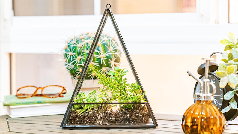 May include: A geometric terrarium with a triangular shape, filled with soil and green plants. A cactus in a white pot is visible in the background, along with a pair of glasses and a book. A small, decorative clock and a glass bottle are also present.