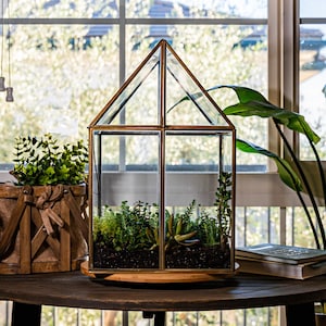 Oversized Greenhouse Terrarium with Stand: Bronze Glass Display Case (11x11x28")