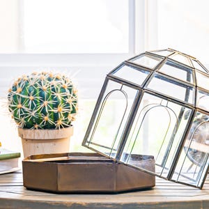 Urban Born Large Terrarium Removable Birdcage, Glass and Metal Indoor Display Case, Unique Gift Idea, Succulent Container, Orchid Planter.