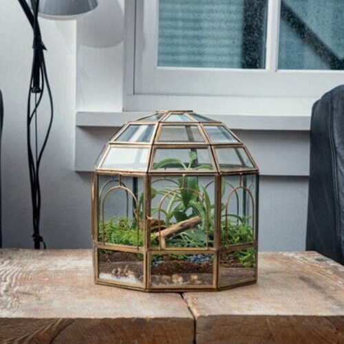 Urban Born Handmade Birdcage Large Glass Terrarium — 10" x 9" x 9" (Brass)