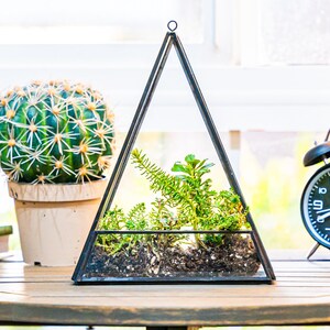 May include: A geometric terrarium with plants, a cactus in a pot, a black alarm clock, and a decorative glass bottle with a plant mister sit on a wooden table. A pair of glasses and books are also on the table. The terrarium is triangular.