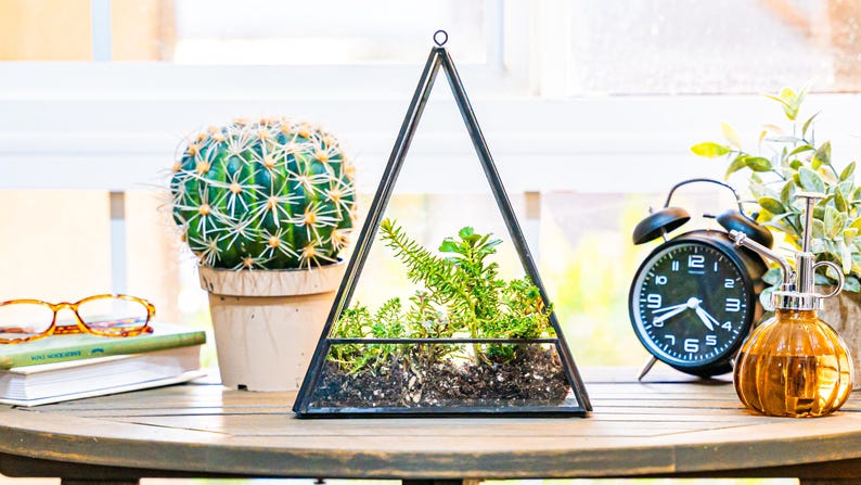 May include: A geometric terrarium with plants, a cactus in a pot, a black alarm clock, and a decorative glass bottle with a plant mister sit on a wooden table. A pair of glasses and books are also on the table. The terrarium is triangular.