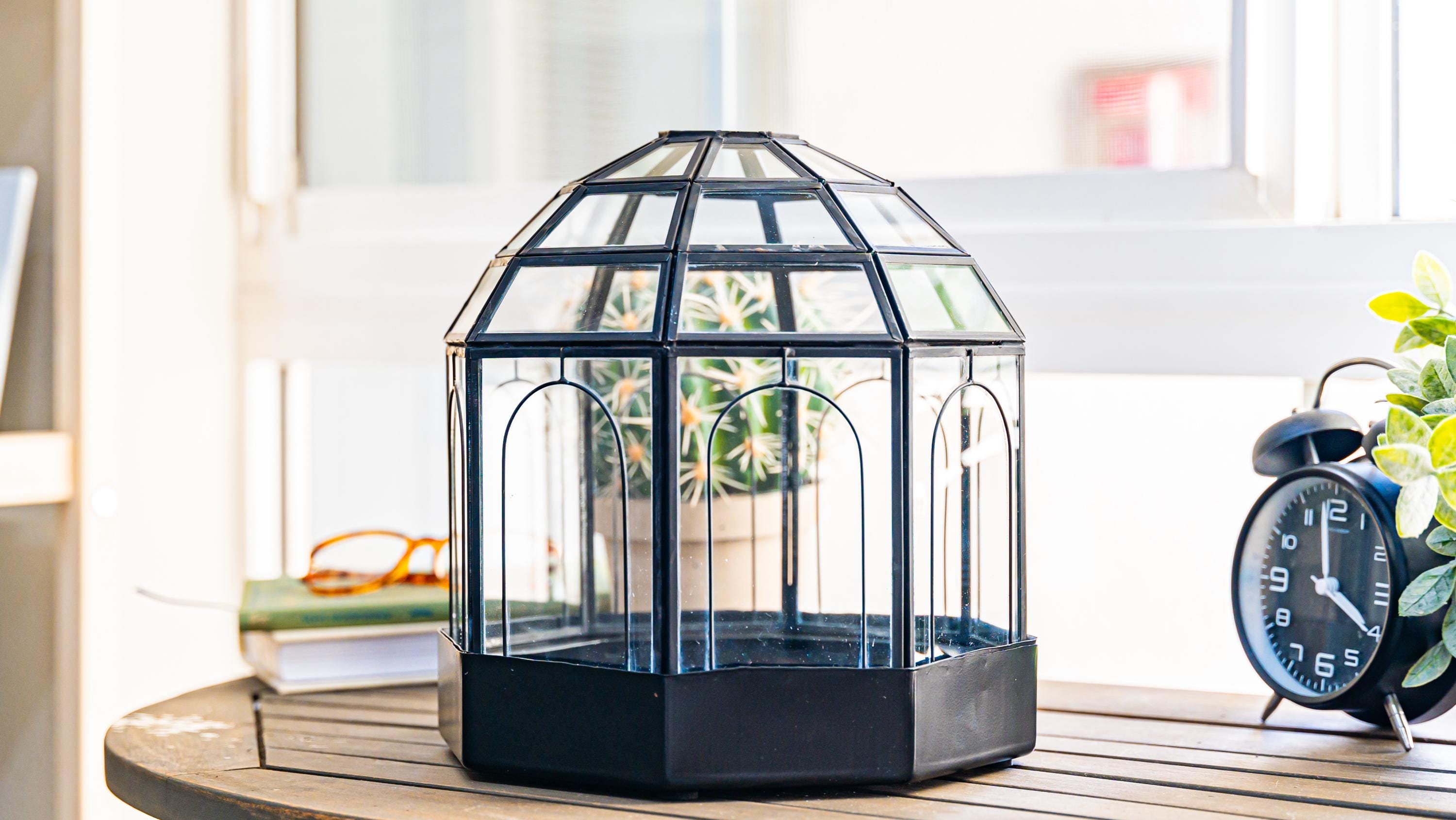 Urban Born Large Terrarium Greenhouse, Glass And Metal Indoor Display