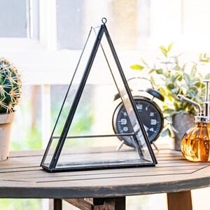 May include: A black-framed, triangular glass terrarium sits on a wooden table, next to a potted cactus and a decorative amber glass bottle with a sprayer. A black alarm clock and greenery are in the background.