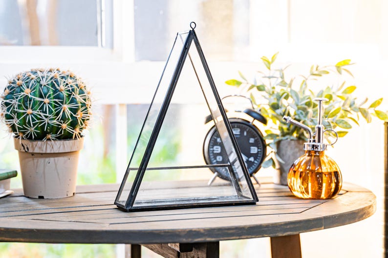 May include: A black-framed, triangular glass terrarium sits on a wooden table, next to a potted cactus and a decorative amber glass bottle with a sprayer. A black alarm clock and greenery are in the background.