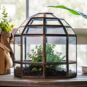 UB Large Terrarium Bronze Birdcage Design, Glass, Steel, Perfect for: Indoor Garden, Succulents, Moss, Anniversary, Birthday, Wedding Gifts.