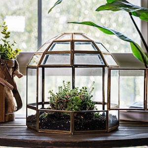 Peut inclure: Un terrarium en verre avec un cadre en m&eacute;tal dor&eacute; et une porte &agrave; charni&egrave;res. Le terrarium est rempli de terre et de petites plantes vertes. Le terrarium est pos&eacute; sur une table en bois.