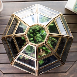 Peut inclure: Un terrarium g&eacute;om&eacute;trique dor&eacute; avec un d&ocirc;me en verre et plusieurs compartiments. Le terrarium est rempli de plantes vertes et repose sur une surface en bois.