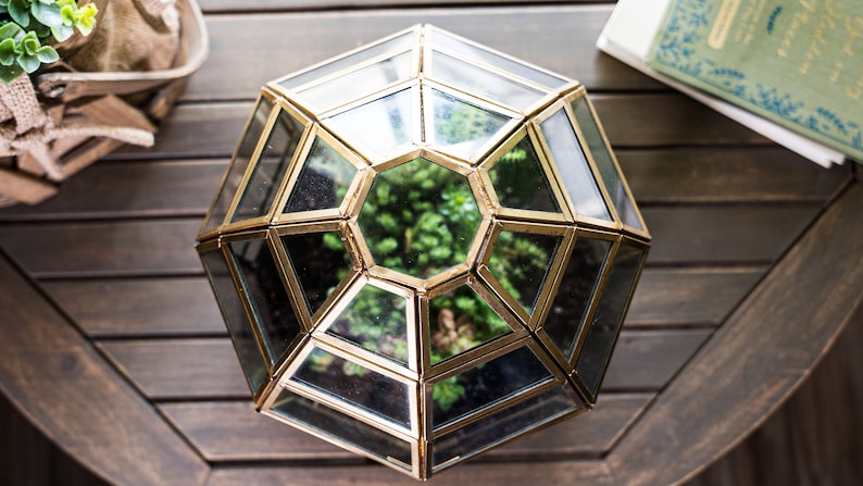 Peut inclure: Un terrarium g&eacute;om&eacute;trique dor&eacute; avec un d&ocirc;me en verre et plusieurs compartiments. Le terrarium est rempli de plantes vertes et repose sur une surface en bois.