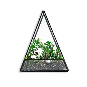 May include: A triangular terrarium with a black metal frame and glass panels. The interior features a variety of green plants and soil. The terrarium is suspended against a white background.