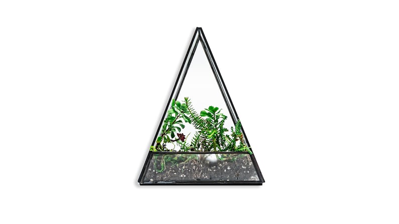 May include: A triangular terrarium with a black metal frame and glass panels. The interior features a variety of green plants and soil. The terrarium is suspended against a white background.