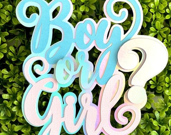 Gender Reveal Cake Topper, Gender Reveal Party Decor, Boy or Girl, pink or Blue