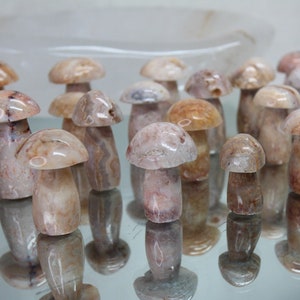 Paddestoel van Crazy Lace-agaat: natuurlijk roze kristalsnijwerk