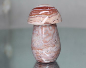 Ágata con forma de hongo de encaje loco: cristal rosa natural tallado con drusa