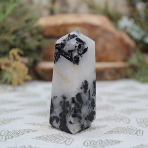 Black Tourmaline in Quartz Crystal Tower: Polished Obelisk from Brazil