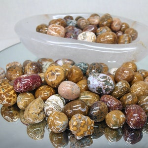 Polished Ocean Jasper Tumbled Stone: Indonesian Healing Crystal