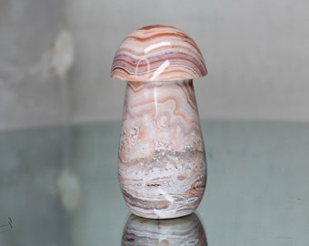 Hongo de ágata de encaje loco: tallado de cristal druzy rosa natural