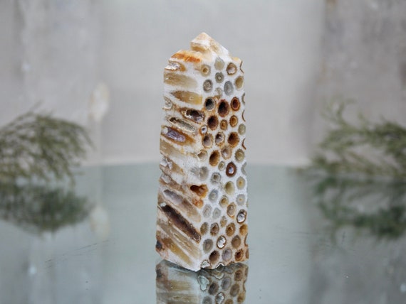 Fossilized Coral Obelisk with Druzy, AA+ Quality 3.4 oz Semi Polished Agatized Coral Carved Tower from Indonesia