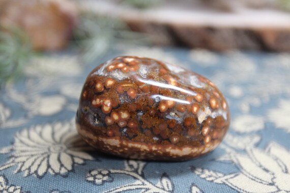 Speckled Ocean Jasper Polished Crystal Freeform, 4.2 oz Palmstone from Brazil