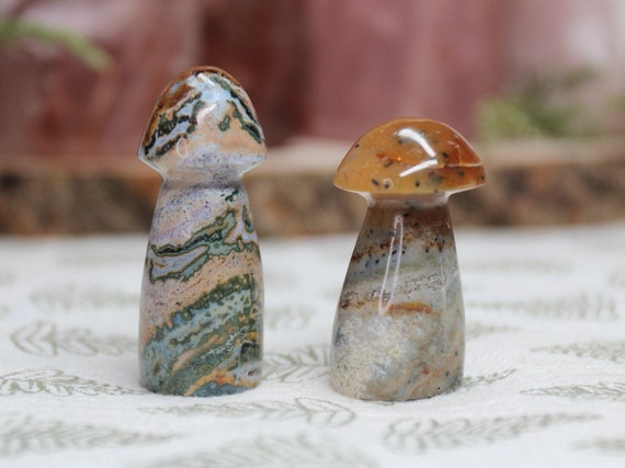 AAA+ Ocean Jasper Mushroom Pair with Druzy, 1.5 oz Carved Orbicular Jasper Crystal Mushrooms from Indonesia