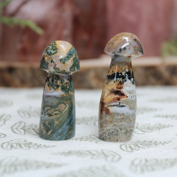 AAA++ Ocean Jasper Mushroom Pair with Druzy, 1.6 oz Carved Orbicular Jasper Crystal Mushrooms from Indonesia